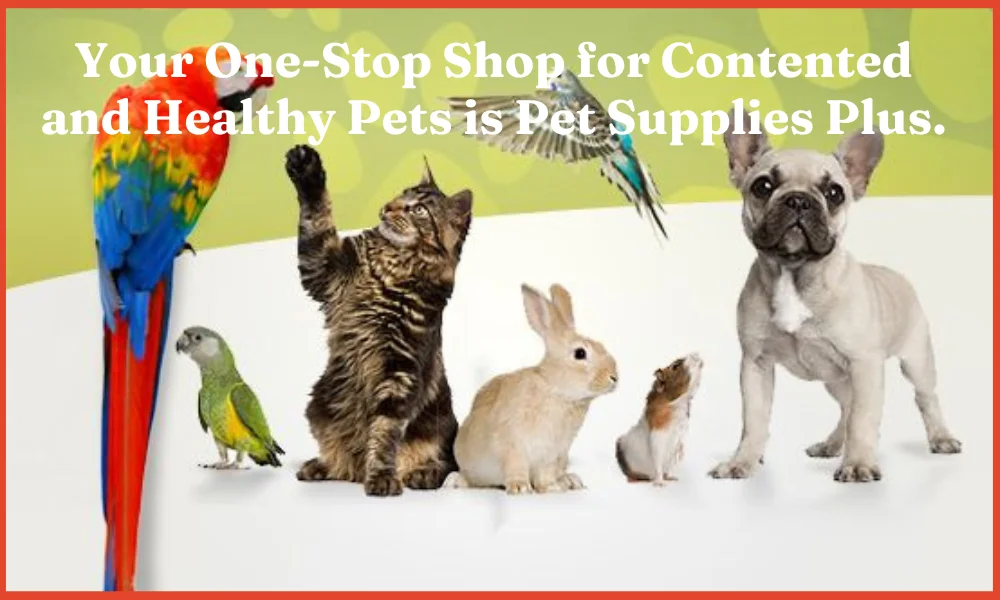 Pet Supplies Plus