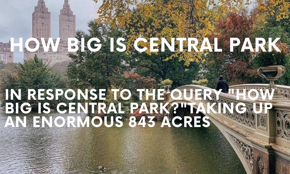 How Big is Central Park