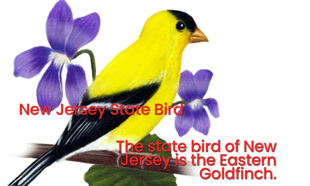 New Jersey State Bird