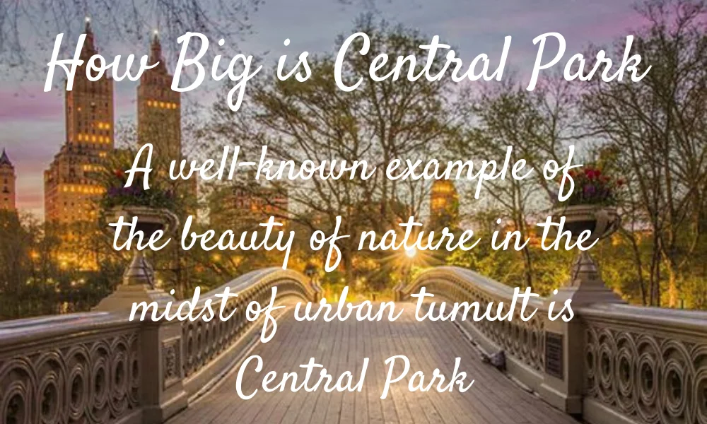 How Big is Central Park